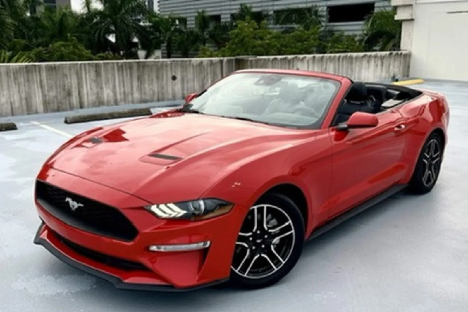 Ford Mustang for rent in Miami